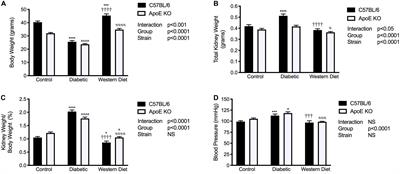 Disparate Effects of Diabetes and Hyperlipidemia on Experimental Kidney Disease